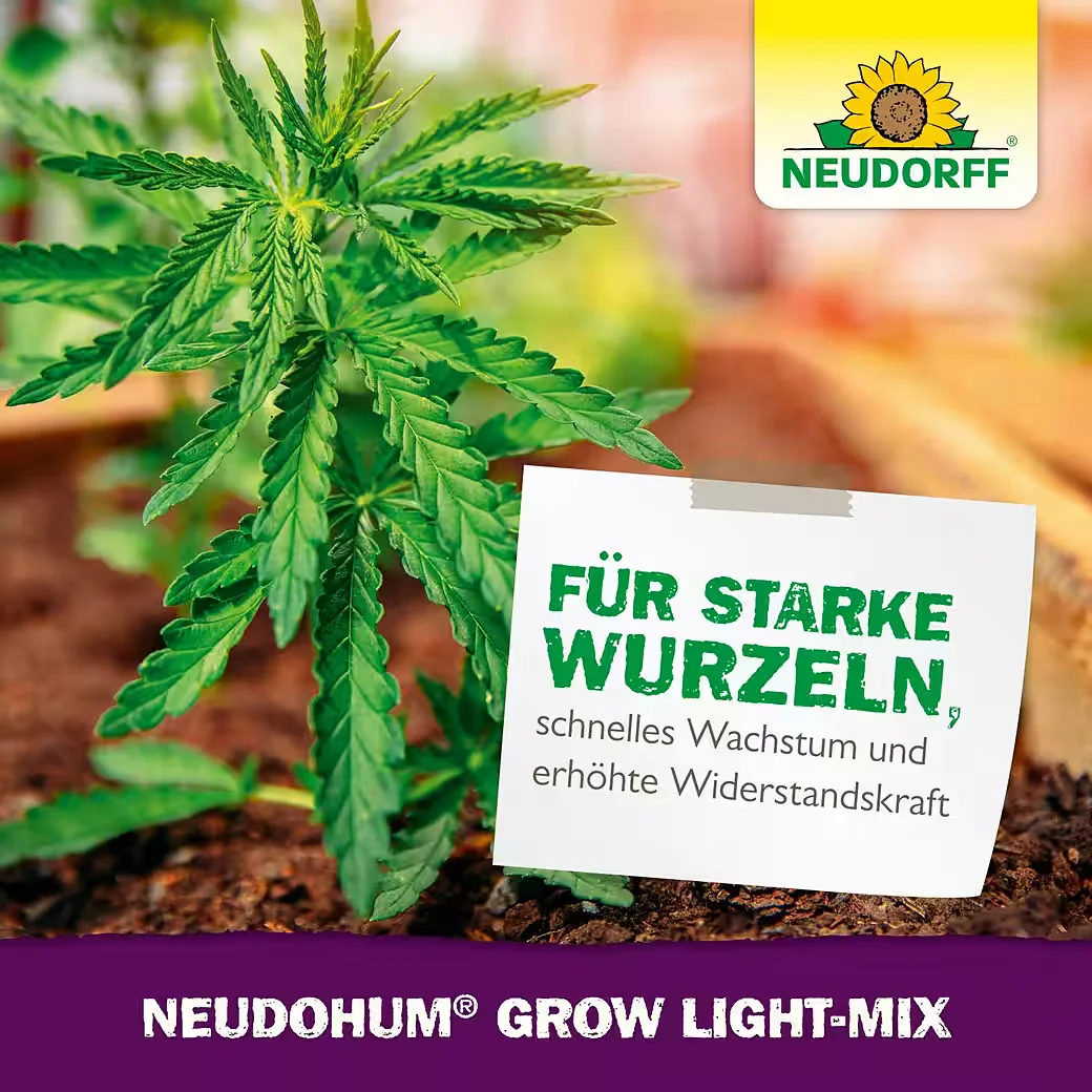 NEUDORFF NeudoHum Grow Light-Mix Spezialerde Pflanzenerde 10 Liter