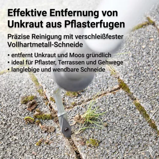 FALINGO Fugenkratzer Fugenreiniger mit Handgriff gegen Unkraut