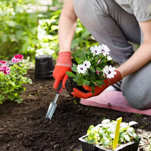 Relaxdays Unkrauthacke und Unkrautstecher Gartenwerkzeug