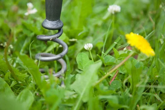 KRUMPHOLZ Löwenzahnzieher Unkrautstecher mit Eschenstiel 40 cm