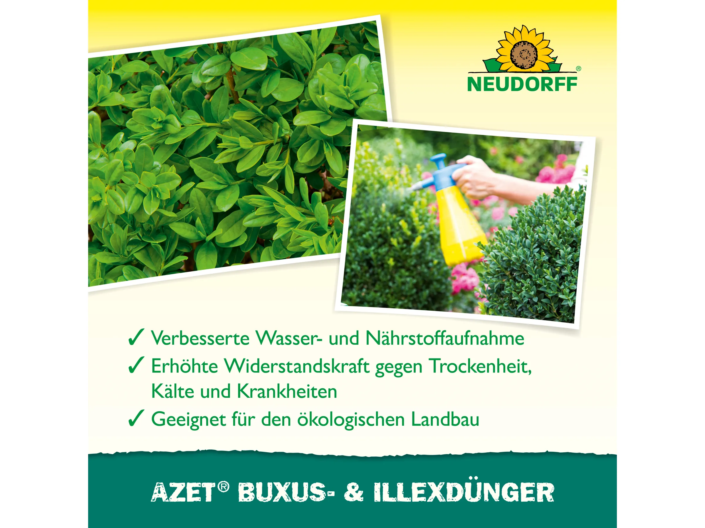 Neudorff Buxus- & Ilex-Dünger Flüssig Azet 1 l