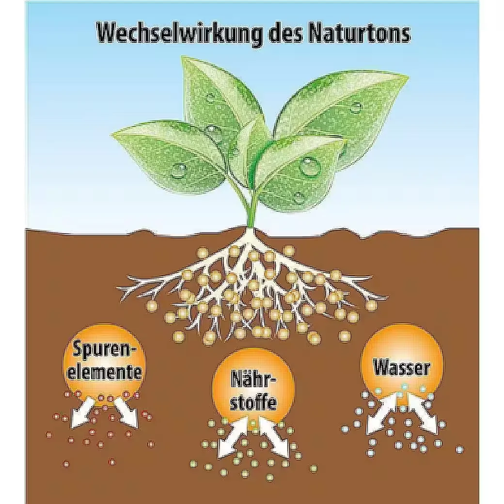 FRUX Hortensienerde Spezialerde rot und weiß 18 l anwendungsfertig
