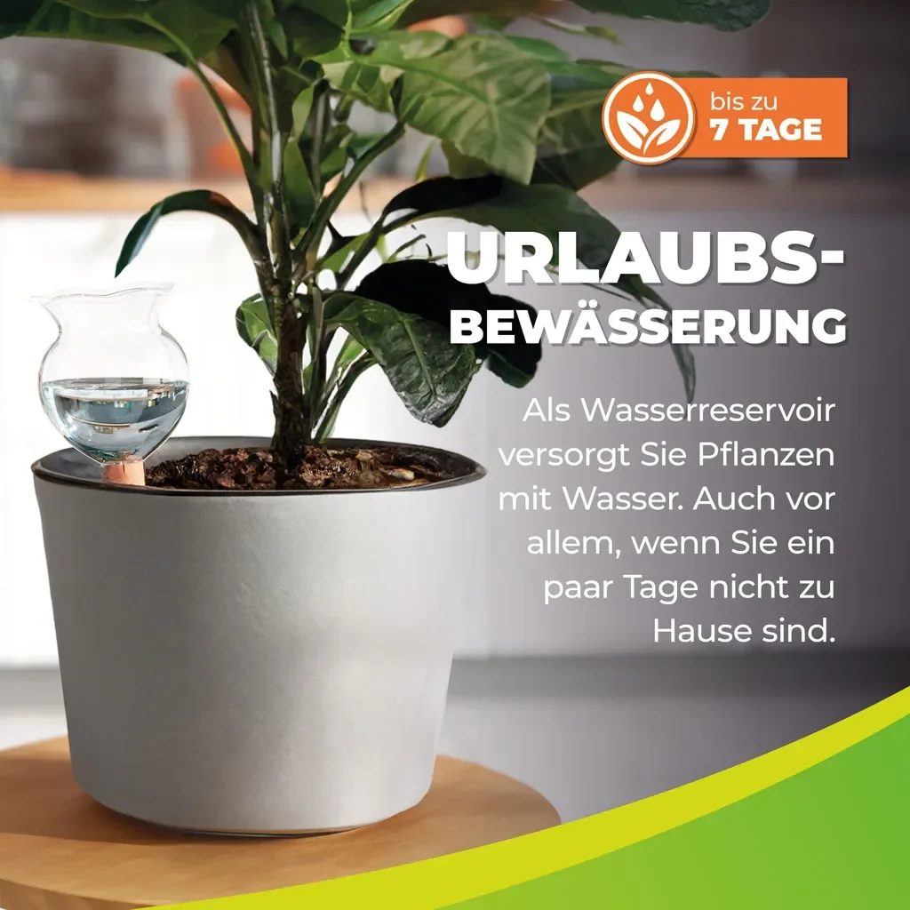 Biogreen Hydro Bloom Tonkegel Bewässerungssystem für Zimmerpflanzen