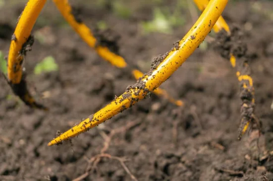 TORNADICA Vertikutierer und Unkrautentferner 2in1 Gartenwerkzeug