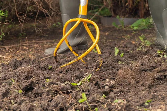 TORNADICA Vertikutierer und Unkrautentferner 2in1 Gartenwerkzeug